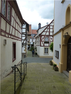 Bild des Tages